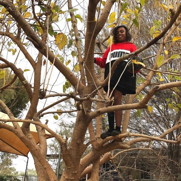 Teen climbing a tree