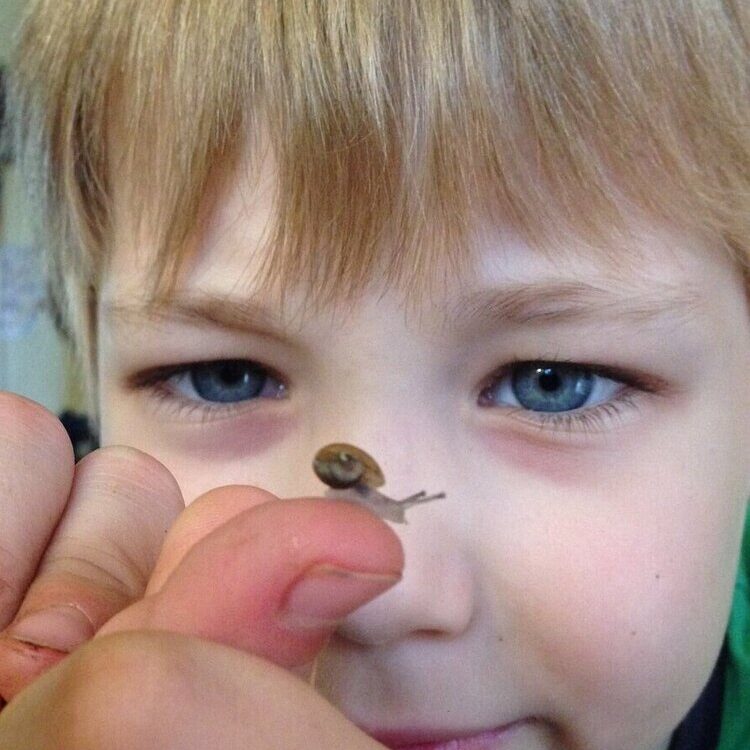 Young child looking at a small snail on his finger